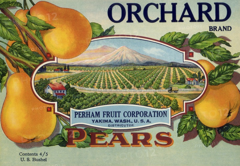 Pear Orchard Label
