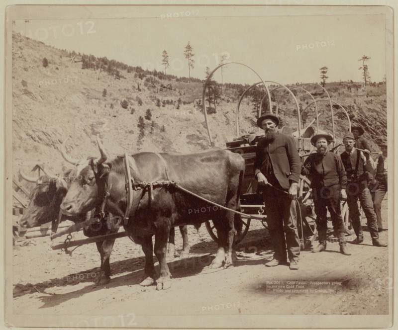1889 - Prospectors going to the gold fields.