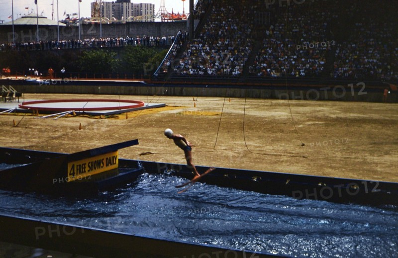 Trick skier during a show inside a stadium filled with spectators (possibly at a fair) circa 1957-1960.