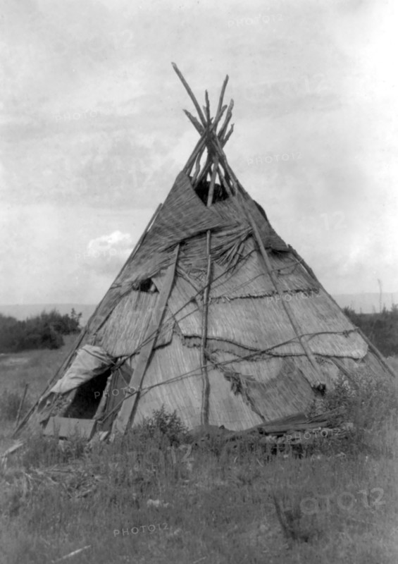 Edward S. Curits Native American Indians - Photograph shows reed mat covered tepee in grassy field, Washington circa 1910.