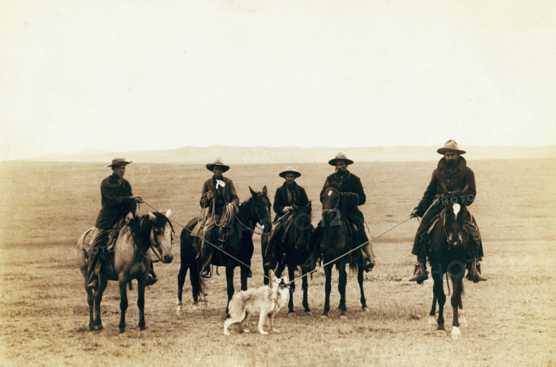 Roping gray wolf,' Cowboys take in a gray wolf on 'Round up,' in Wyoming 1887.
