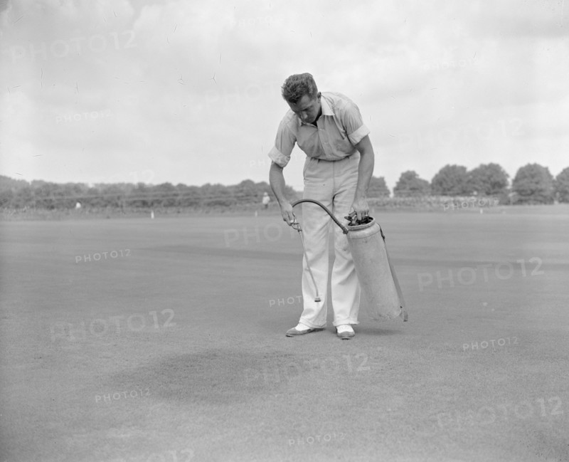 Experts of the U.S. Department of Agriculture, working with the United States Gold Association, have combined an insecticide with a green dye circa 1938 (spraying greens)  .