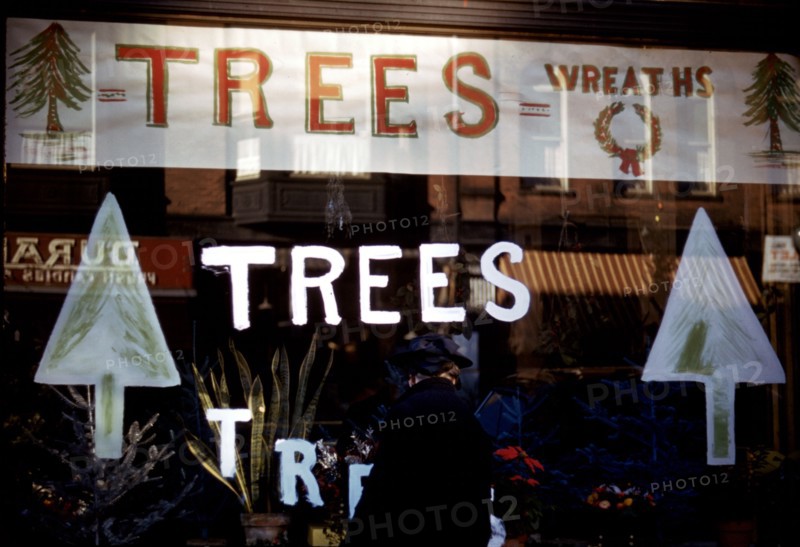 Christmas trees and wreaths in store window display 1941-1942.
