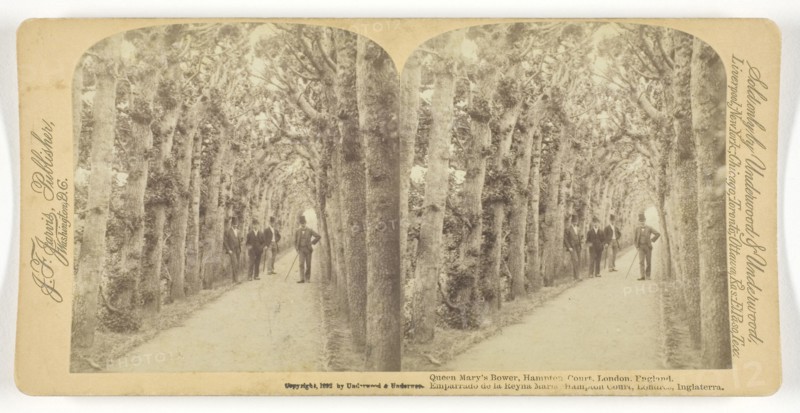 1892 Art Work -  Queen Mary's Bower; Hampton Court; London; England - Underwood & Underwood (Publisher).