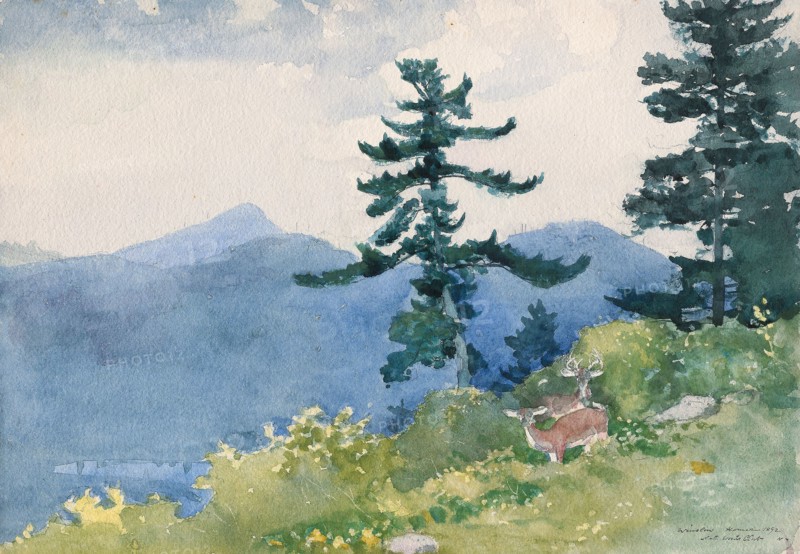 1892 Art Work -  North Woods Club; Adirondacks (The Interrupted Tete-a-Tete) - Winslow Homer.