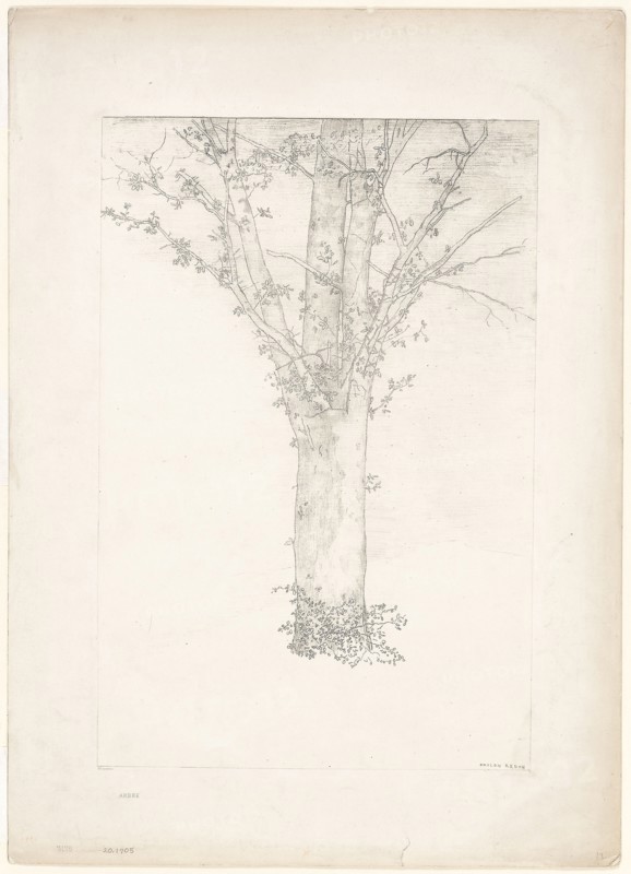 1892 Art Work -  Tree -  Odilon Redon.