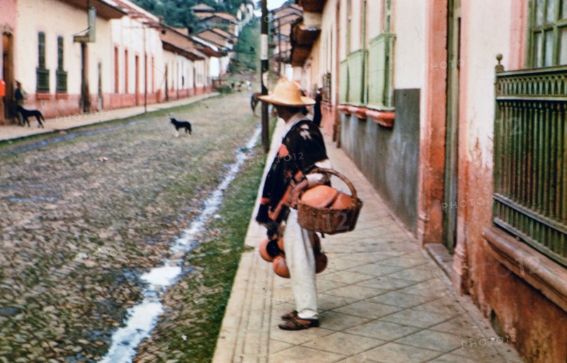 Mexican man in a small city in Mexico looking down a street at dogs circa 1950-1955 .