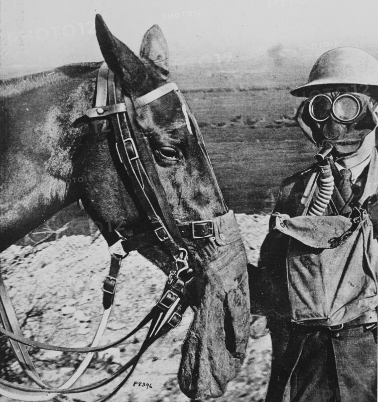 Gas Masks for Man and Horse