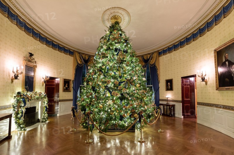 The Blue Room of the White House