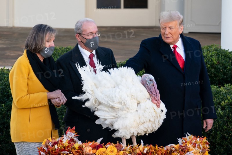 President Donald J. Trump
