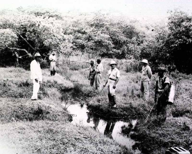 Malaria control unit no. 202 sprays the swamps in Brazil