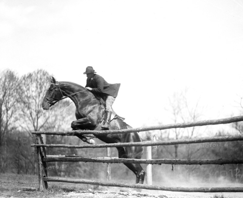 Horse jumping at equestrian event