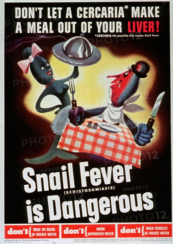 Don't let a cercaria make a meal out of your liver