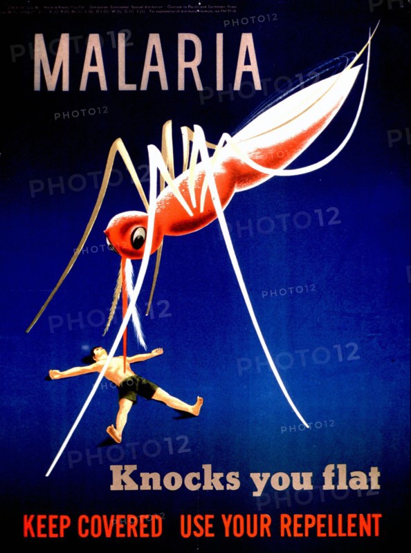 Mid- 1900s - Malaria knocks you flat