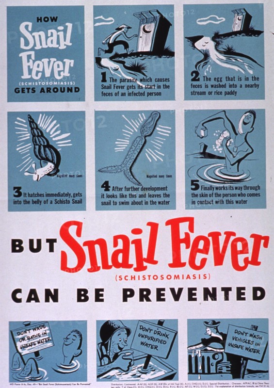 But snail fever