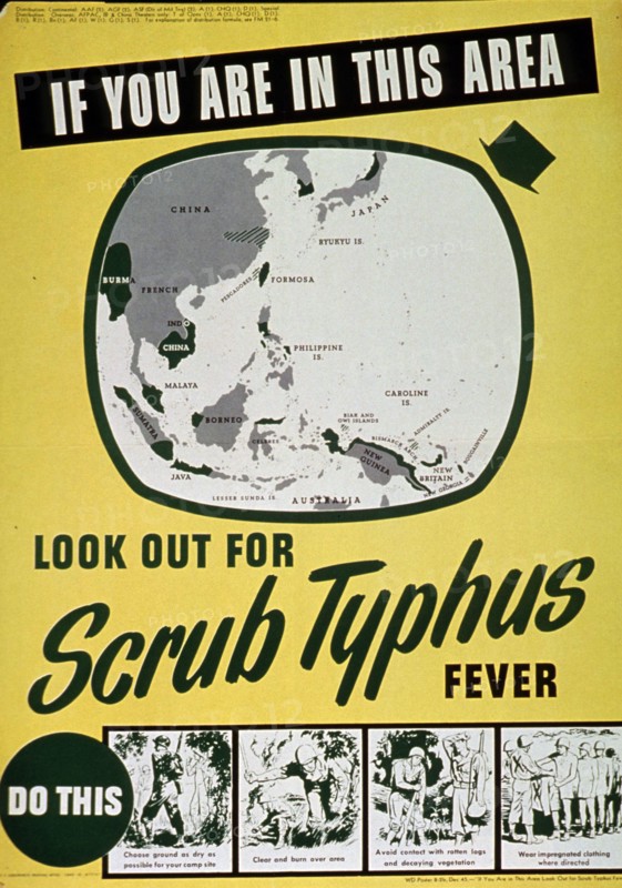 If you are in this area look out for scrub typhus fever