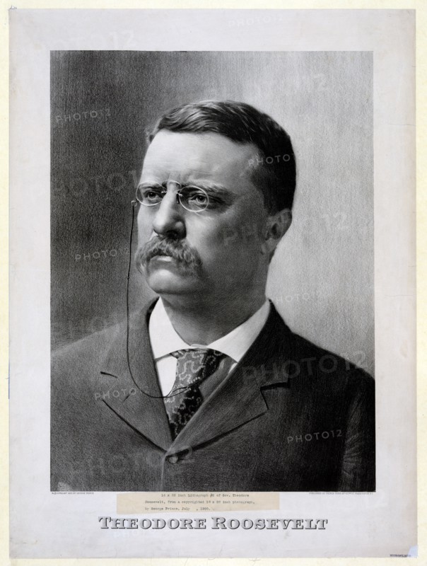 Theodore Roosevelt