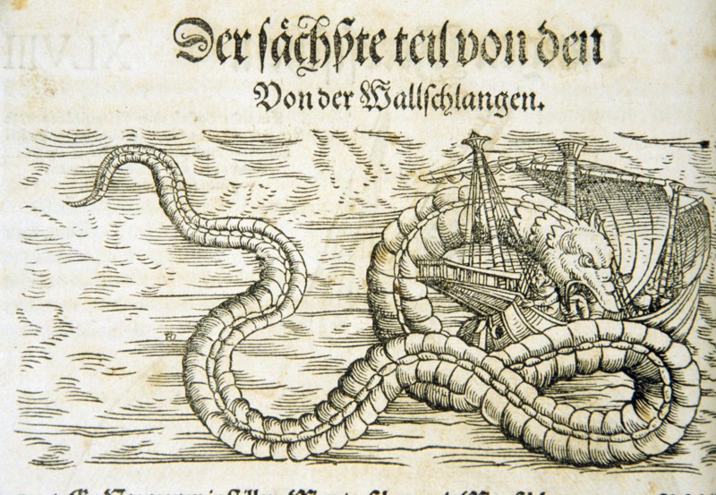 Woodcut illustration of a gigantic snake