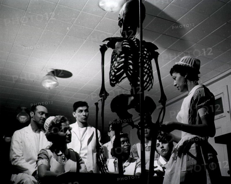 Learning the skeletal structure