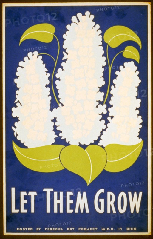 Let them grow