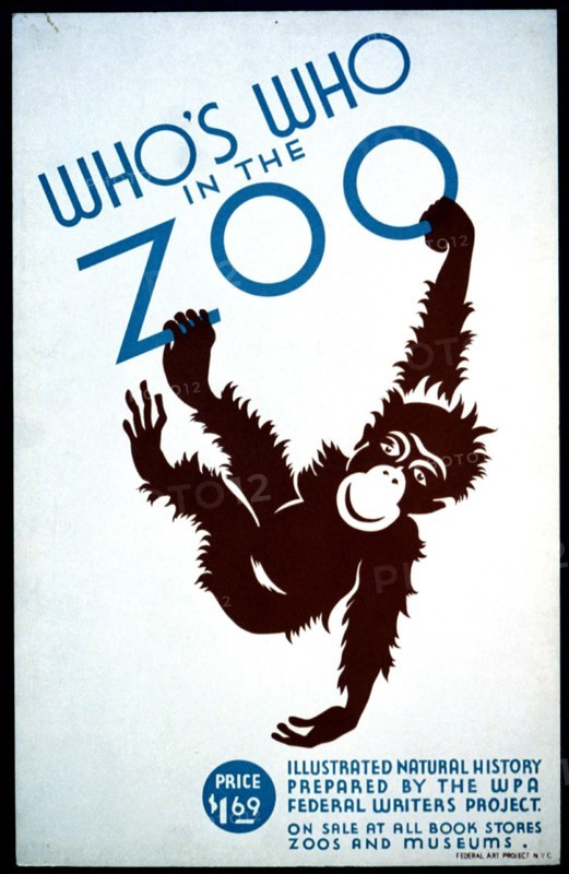 Who's who in the zoo