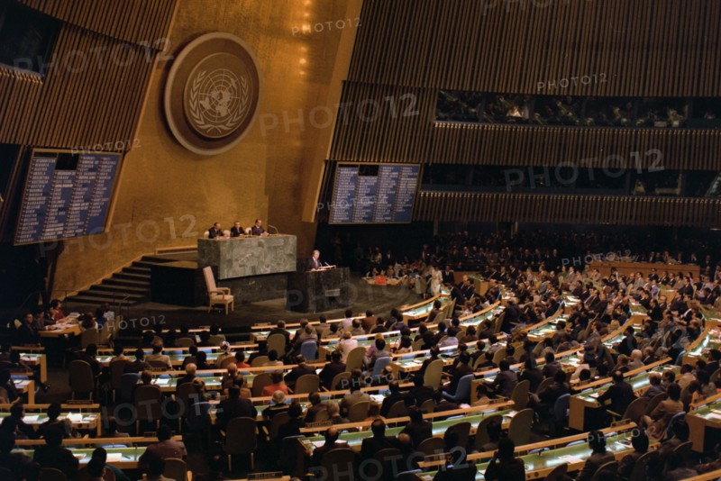 Jimmy Carter addresses the United Nations