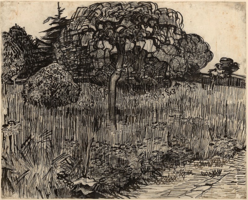 Weeping Tree -  1889