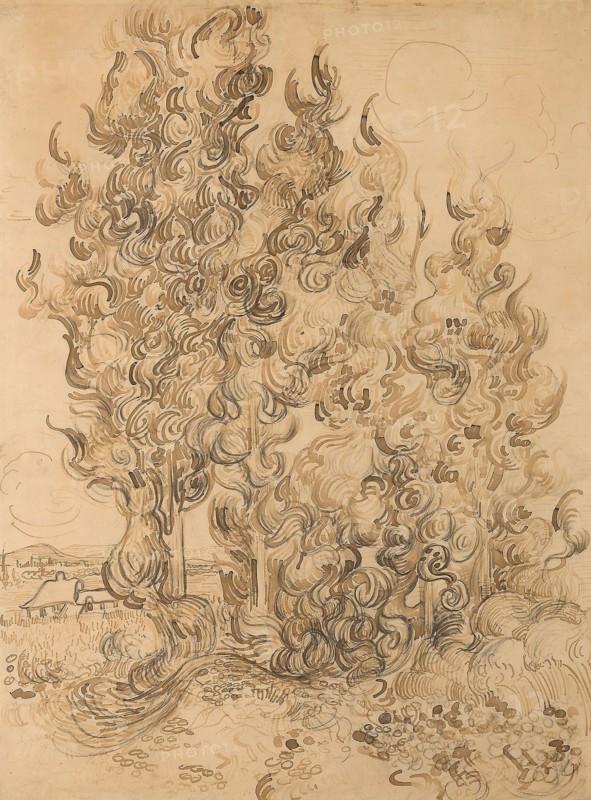 Cypresses  - 1889