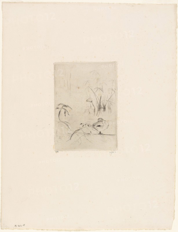 The Duck  - 1889