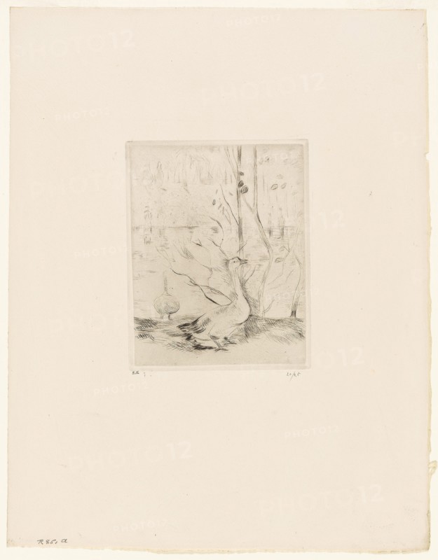 The Goose - 1889