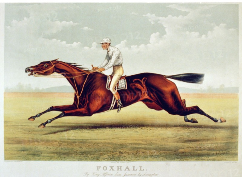 Equine Art 19th Century