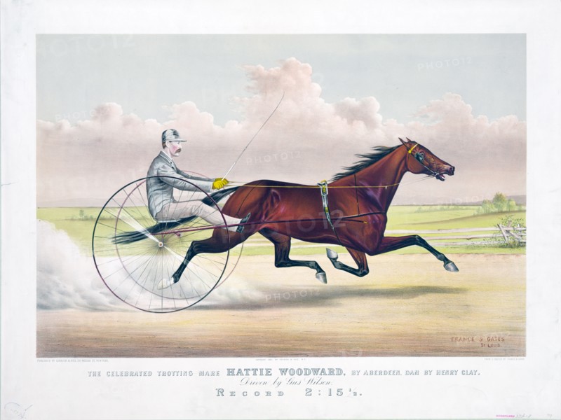 Horse Racing History