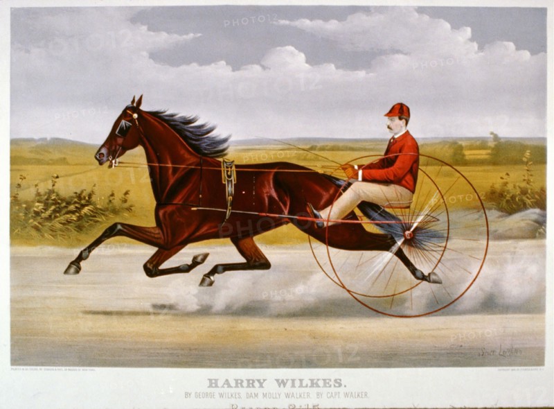 Horse Racing History