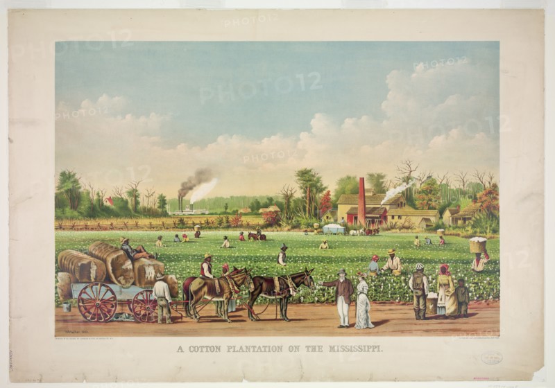 A cotton plantation on the Mississippi c 1884