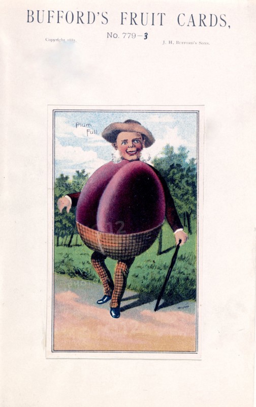 Bufford's fruit cards