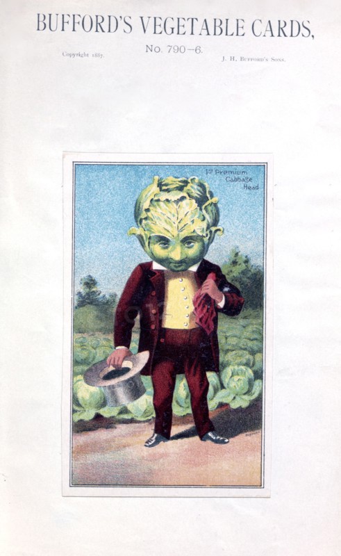 Bufford's vegetable cards