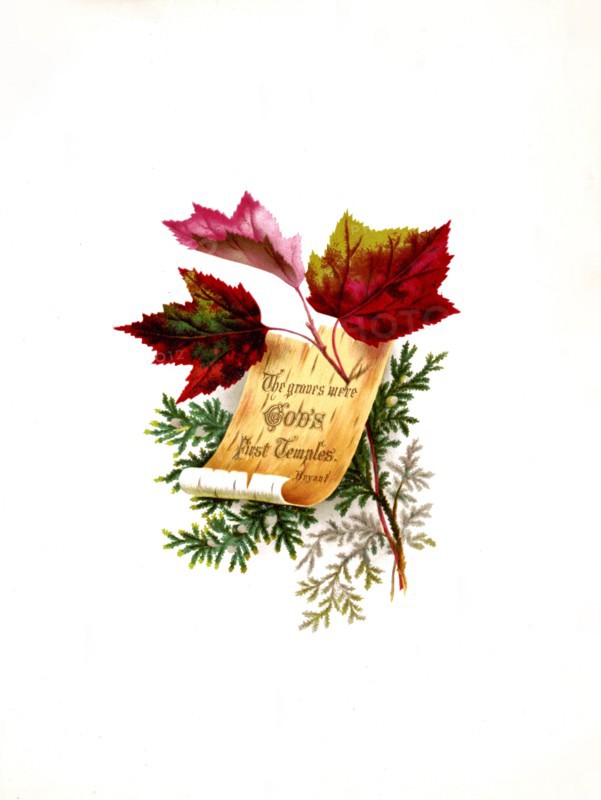 19th century illustration