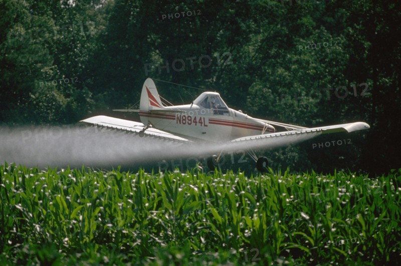 Crop dusting plane spraying a field of corn