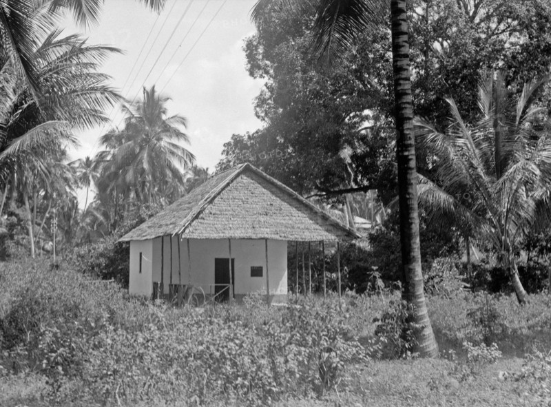 House near Zanzibar in a grove of clove trees and palms ca. 1936