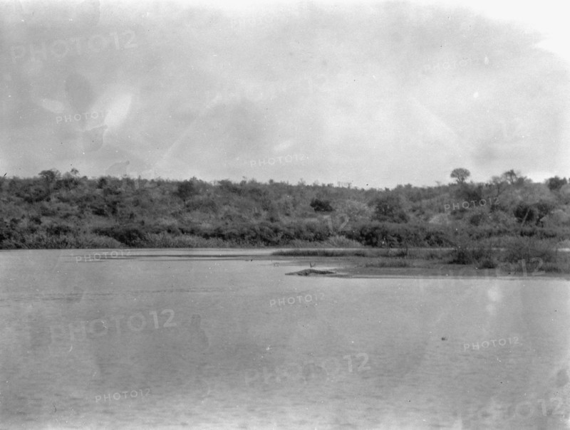 Uganda. Victoria Nile. Crocodile bank below the falls ca. 1936