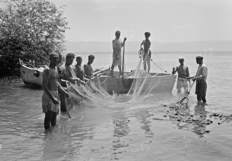 Tiberias fisheries, Arab men fishing with a drag net. Loading drag net on boat ca. 1940