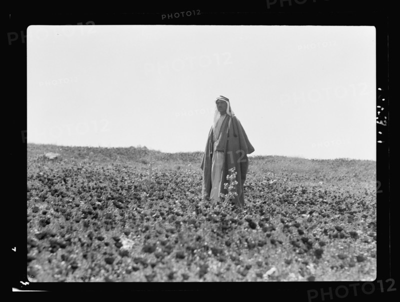 A bedouin man standing in a field at Shunet Nimrin  April 25, 1935
