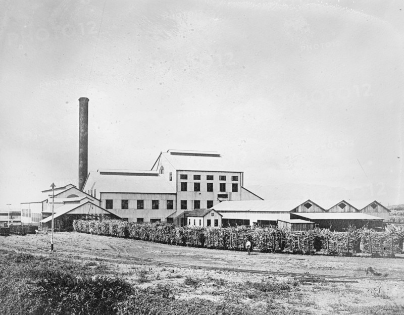 Experimental Station, Hawaiian Sugar Planters Association ca.  between 1910 and 1920