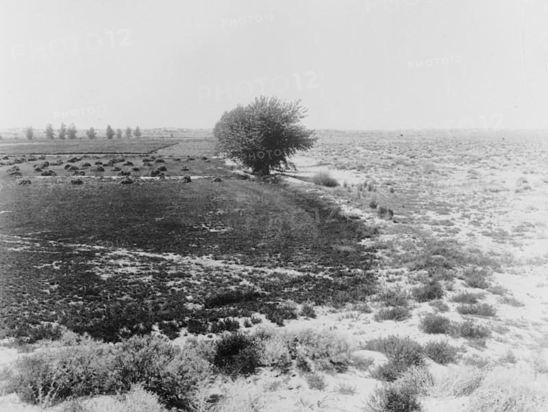 Nevada on left, old homestead; unreclaimed desert on the right ca.  between 1910 and 1935