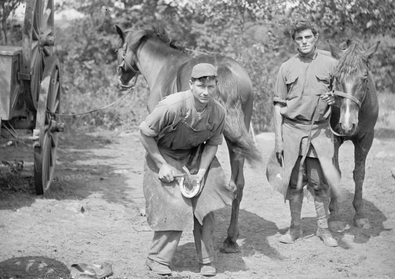U.S. Army, a soldier shoeing a horse ca. between 1909 and 1940