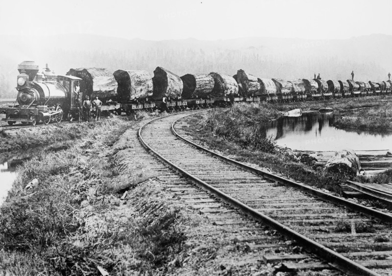 Redwood logs, in flatbed train cars, on way from forest to mill at the Excelsior Lumber Company in Eureka, CA ca. between 1909 and 1920