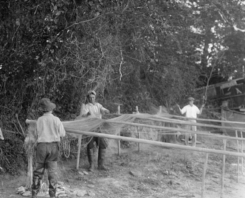 Men working with their nets for shad fishing on the Potomac ca. between 1909 and 1932