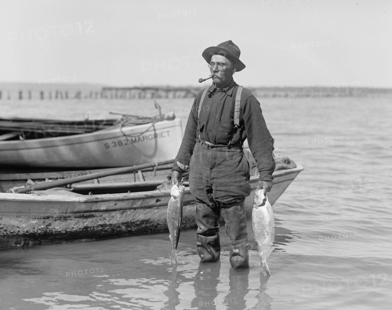 Man shad fishing on the Potomac, holding two fish ca. between 1909 and 1932