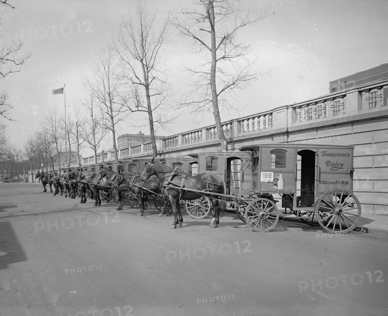 Horse drawn milk carts from the Thompson Dairy ca.  between 1918 and 1928