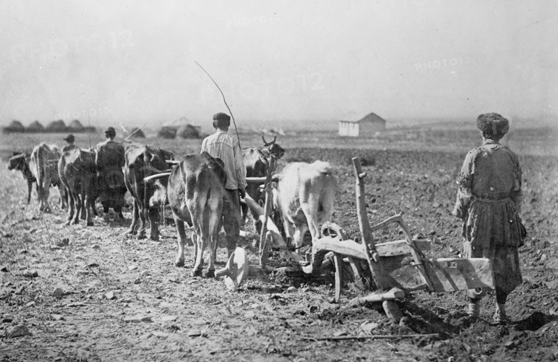 Farmers at work plowing fields in the northern Caucasus Mountains ca.  between 1918 and 1921